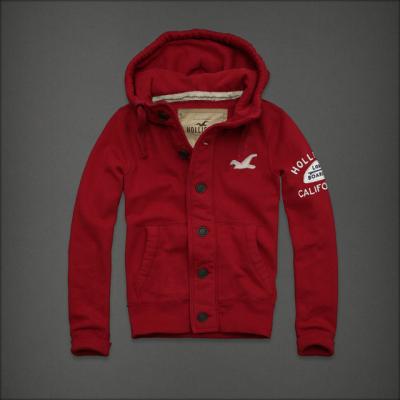 Hollister Men Hoodies-23